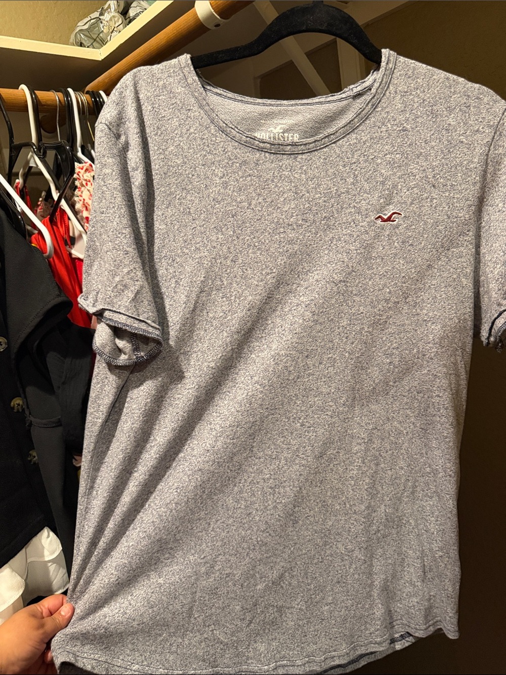 Hollister Men's Heather Light Gray Crew Neck T-Shirt with Red Logo